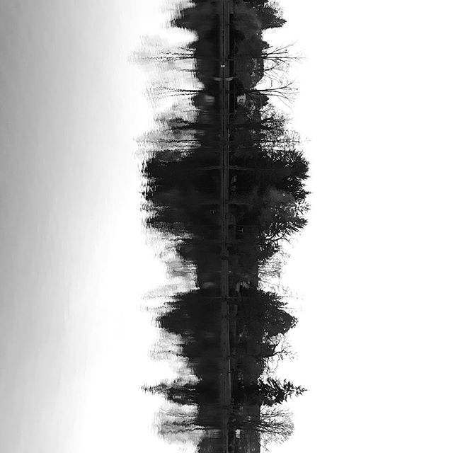 A black and white reflection in water shows trees and a shoreline creating a calm and serene scene.